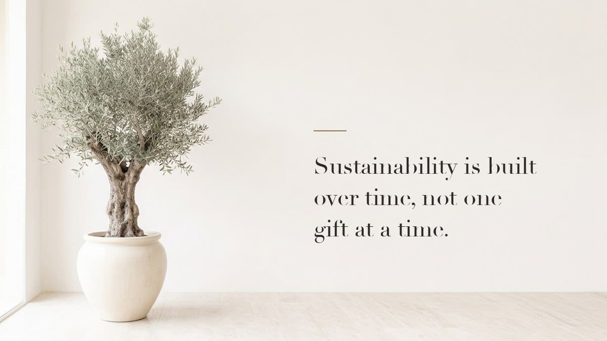 Sustainability is built over time, not one gift at a time. A mature olive tree grown over many years.